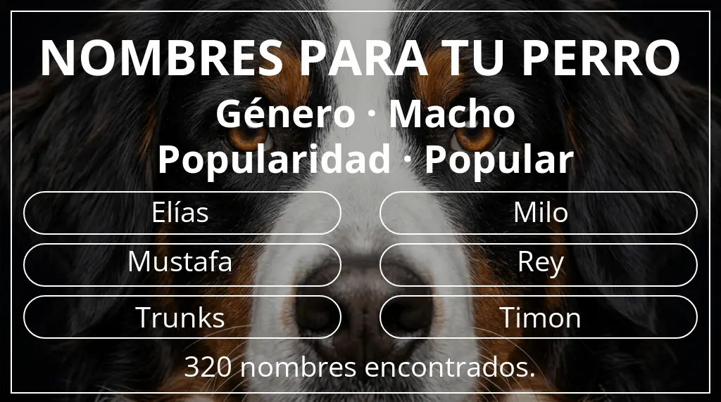 Nombres para perro basados en género macho y popularidad popular
