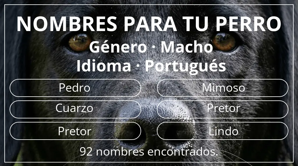 Nombres para perro inspirados en género macho y idioma portugués