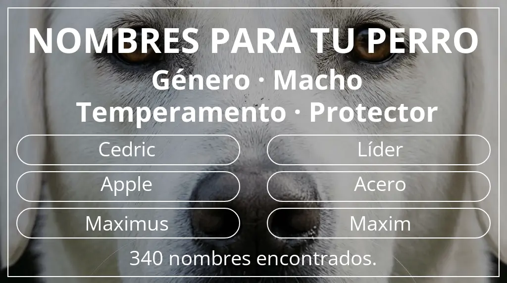 Nombres para perro inspirados en género macho y temperamento protector