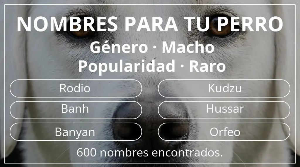 Nombres de perro basados en género macho y popularidad raro