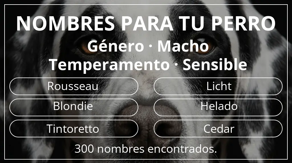 Nombres para perro basados en género macho y temperamento sensible