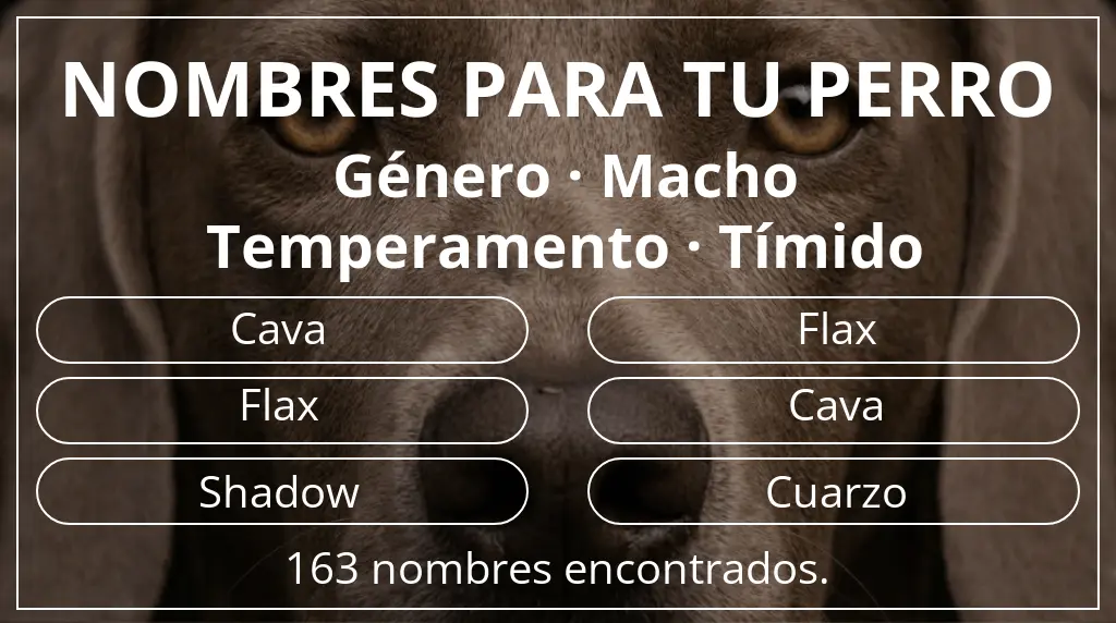 Nombres para perro inspirados en género macho y temperamento tímido