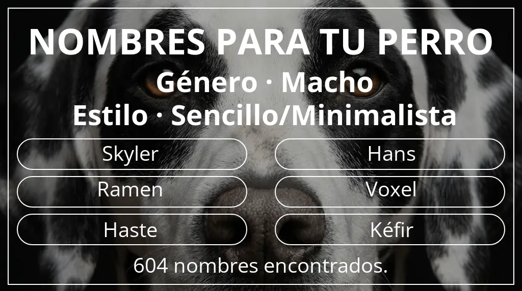 Nombres de perro inspirados en género macho y estilo sencillo/minimalista