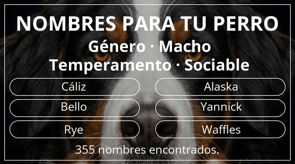 Nombres de perro inspirados en género macho y temperamento sociable