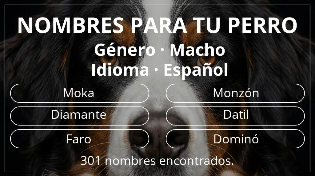 Nombres de perro basados en género macho y idioma español