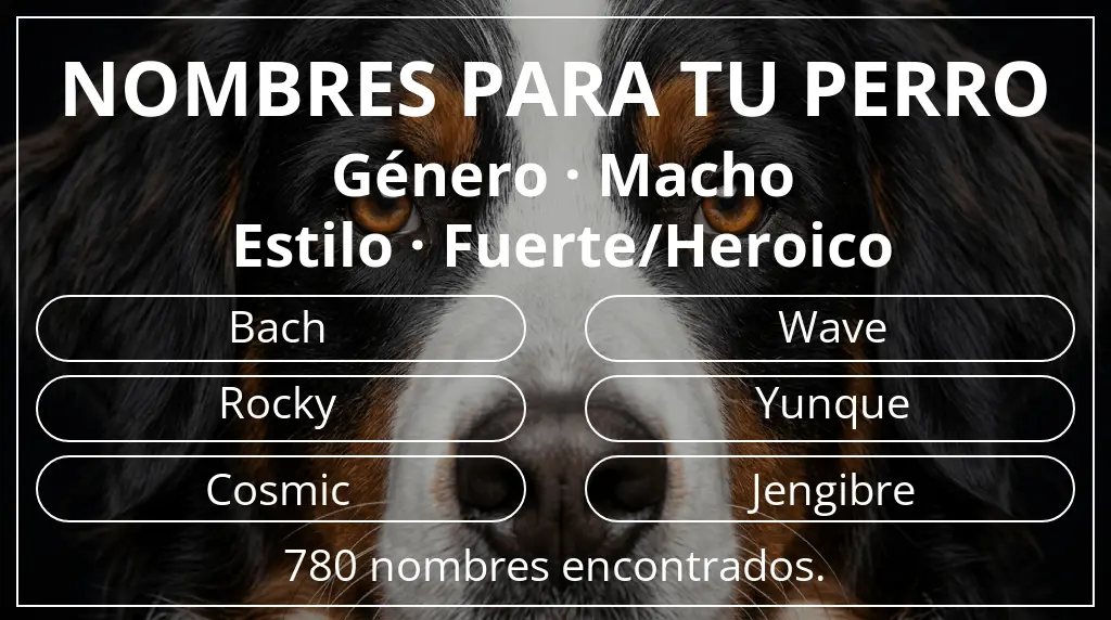 Nombres de perro inspirados en género macho y estilo fuerte/heroico