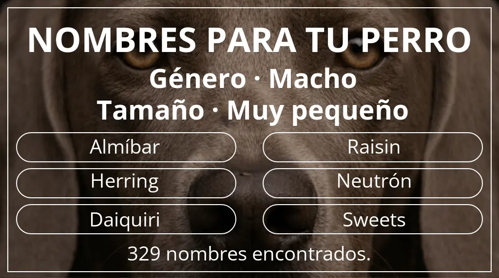 Nombres para perro basados en género macho y tamaño muy pequeño