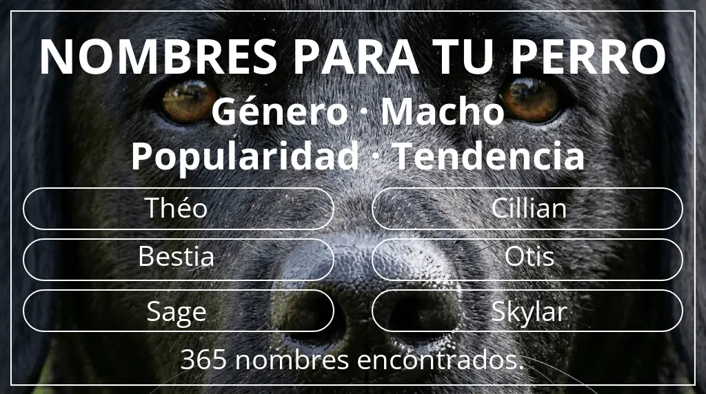 Nombres para perro inspirados en género macho y popularidad tendencia