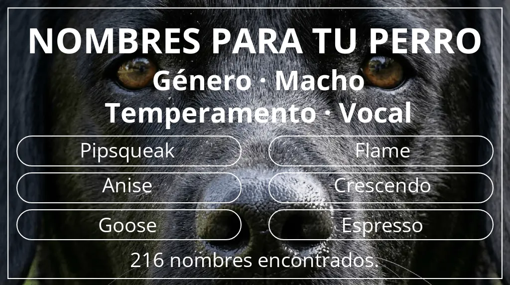 Nombres de perro inspirados en género macho y temperamento vocal