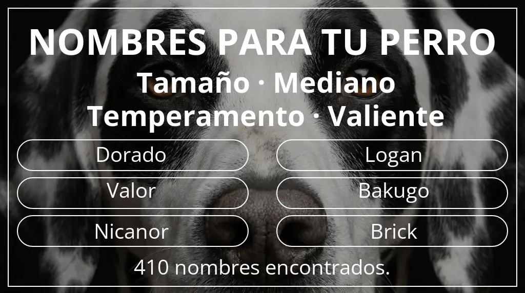 Nombres para perro basados en tamaño mediano y temperamento valiente