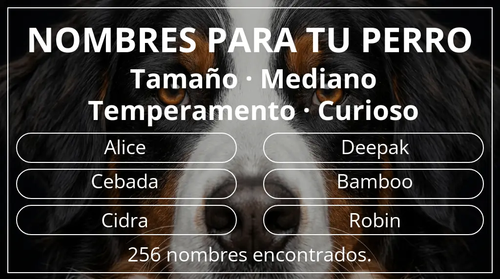 Nombres para perro basados en tamaño mediano y temperamento curioso