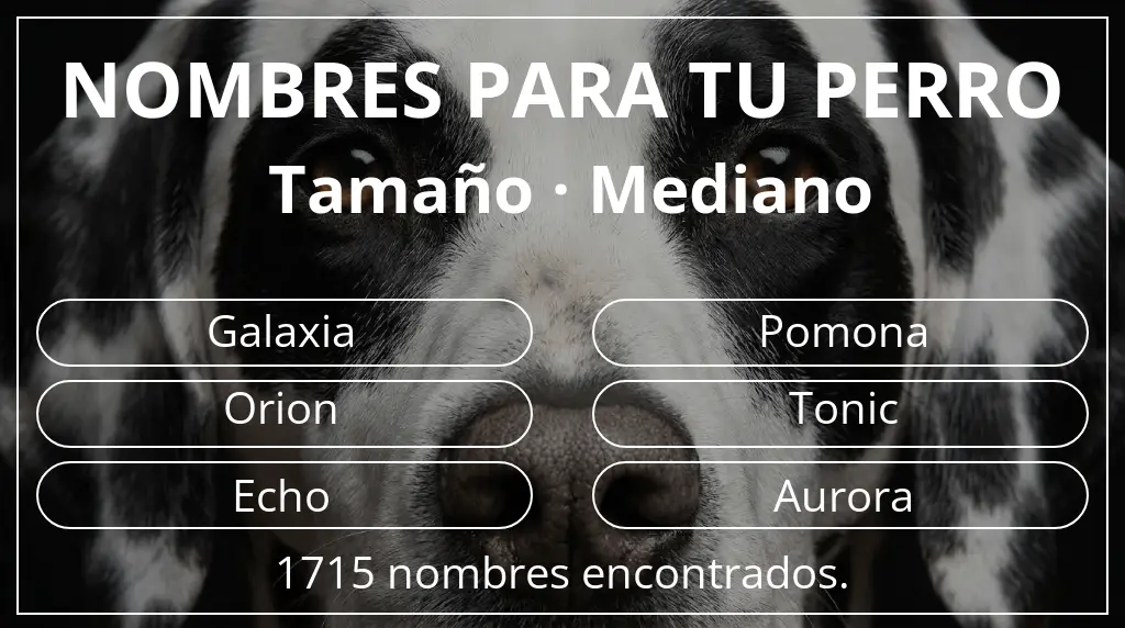 Nombres para perro basados en tamaño mediano