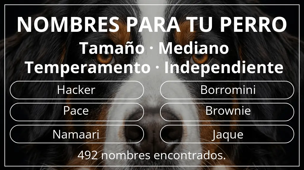 Nombres para perro inspirados en tamaño mediano y temperamento independiente