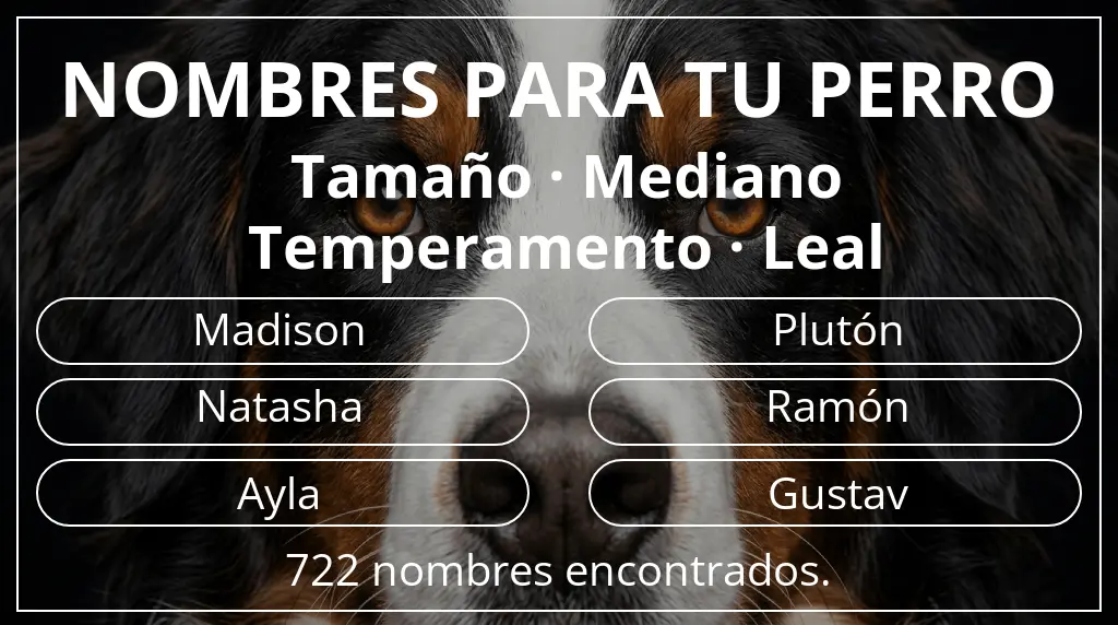 Nombres para perro inspirados en tamaño mediano y temperamento leal