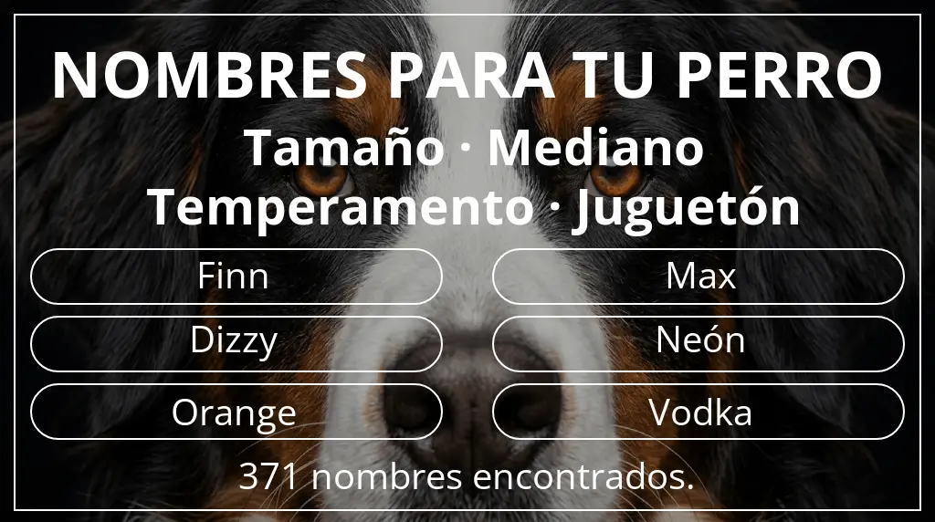 Nombres para perro inspirados en tamaño mediano y temperamento juguetón