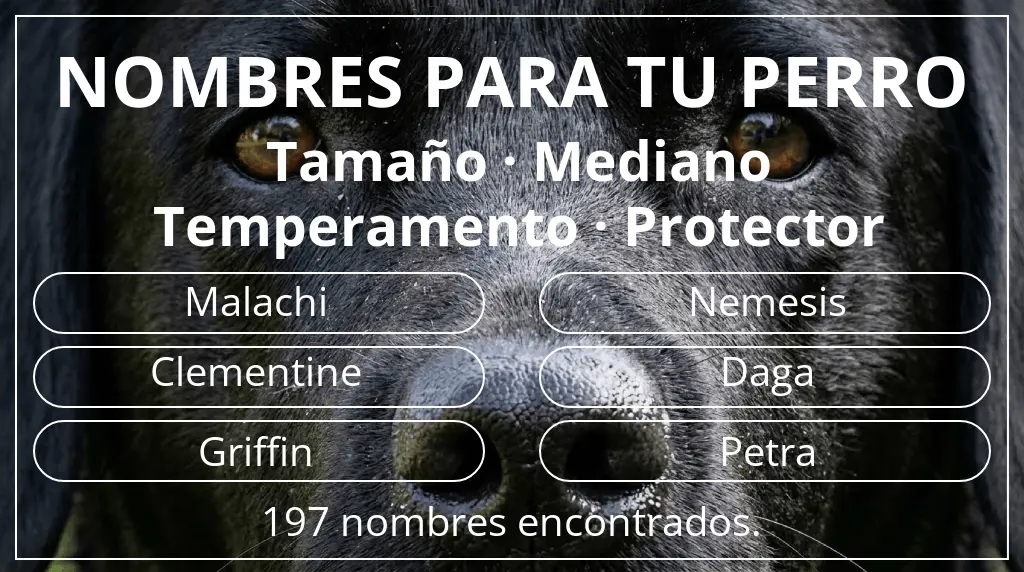 Nombres para perro basados en tamaño mediano y temperamento protector