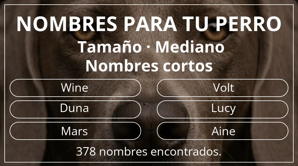 Nombres de perro inspirados en tamaño mediano y longitud del nombre corto (2-4)