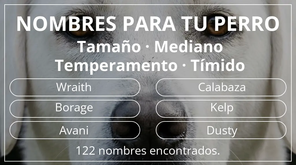 Nombres de perro basados en tamaño mediano y temperamento tímido