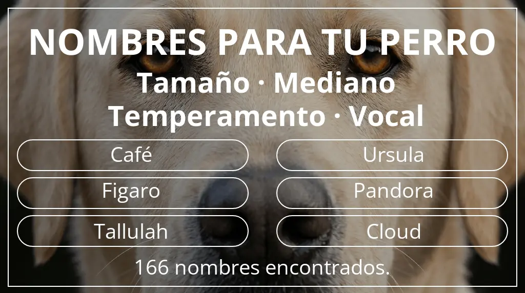 Nombres de perro basados en tamaño mediano y temperamento vocal