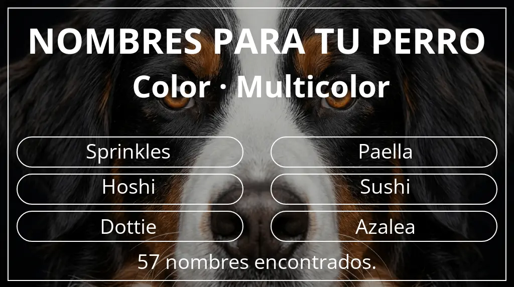 Nombres para perro basados en color multicolor