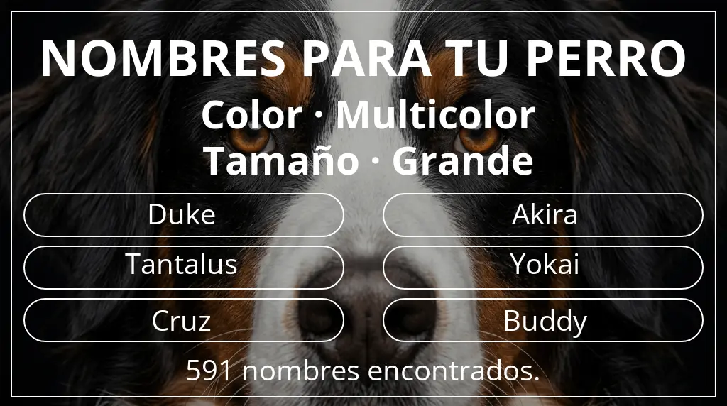 Nombres de perro basados en color multicolor y tamaño grande