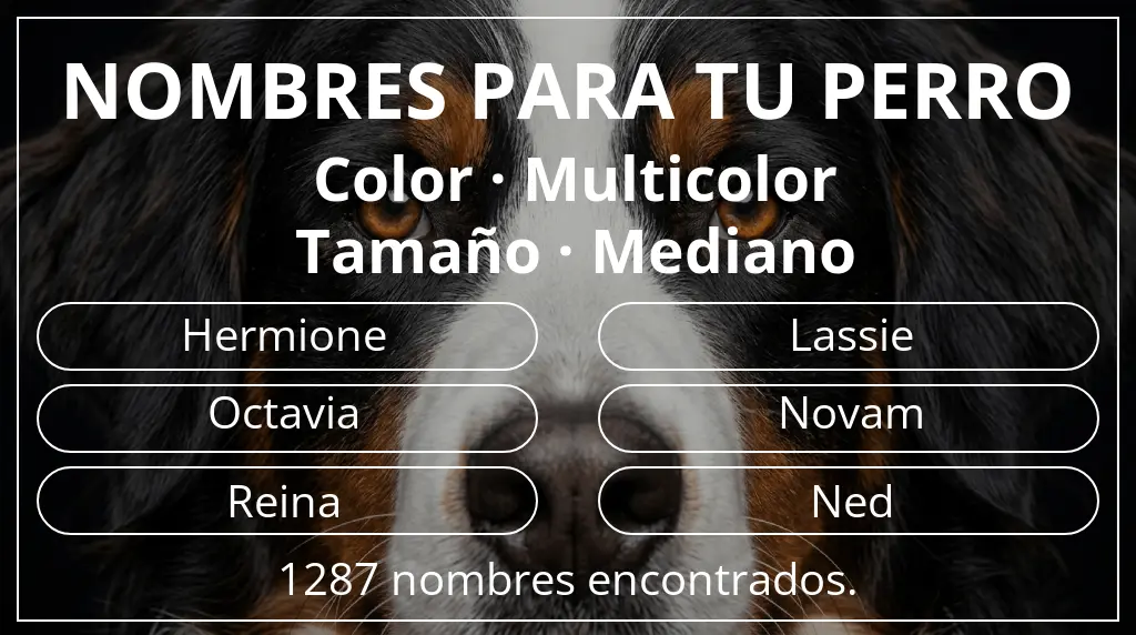 Nombres para perro inspirados en color multicolor y tamaño mediano