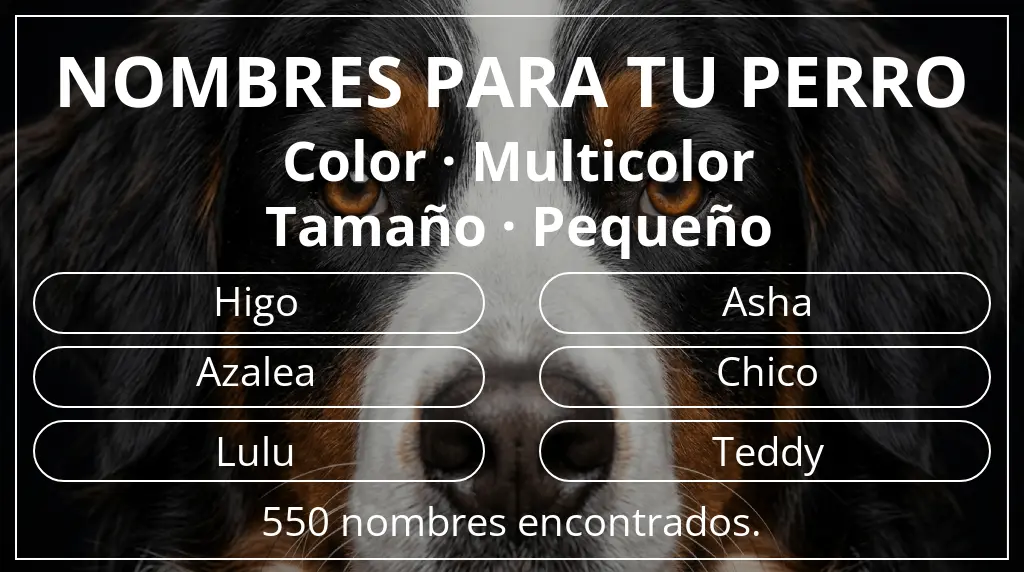 Nombres de perro basados en color multicolor y tamaño pequeño