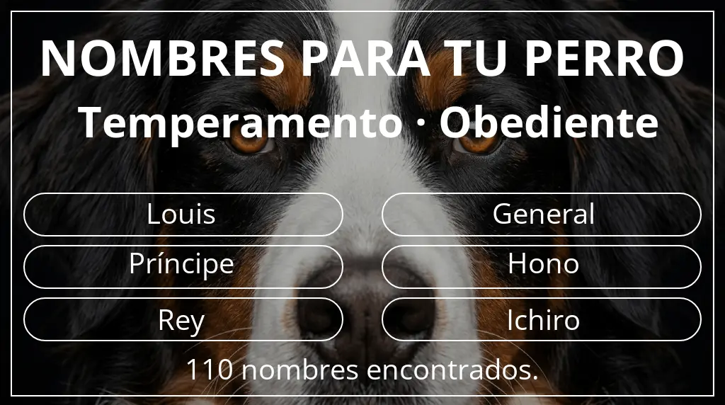 Nombres de perro basados en temperamento obediente
