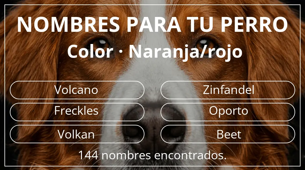 Nombres de perro basados en color naranja/rojo
