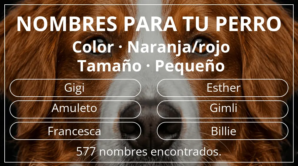 Nombres de perro inspirados en color naranja/rojo y tamaño pequeño