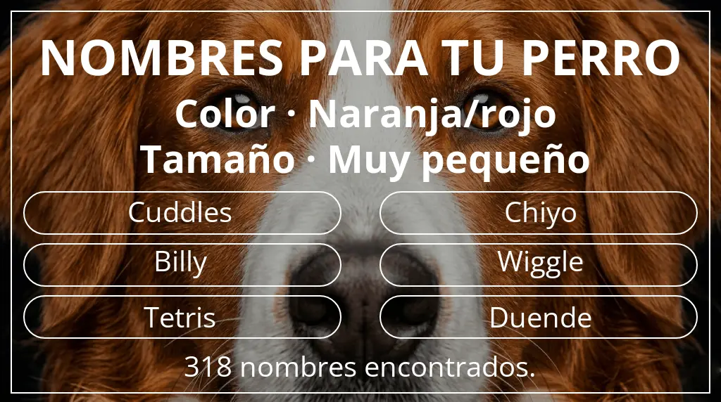 Nombres para perro inspirados en color naranja/rojo y tamaño muy pequeño