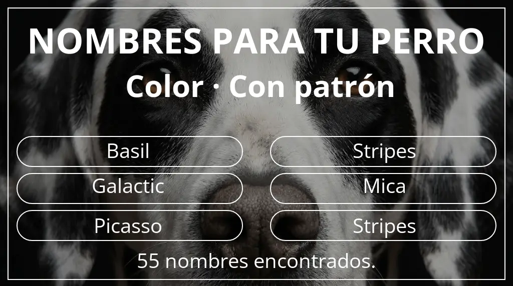 Nombres de perro inspirados en color con patrón