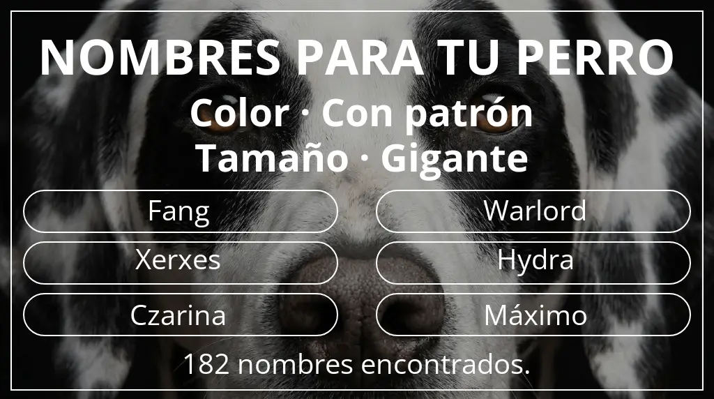 Nombres de perro inspirados en color con patrón y tamaño gigante