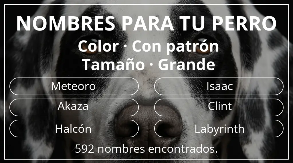 Nombres para perro basados en color con patrón y tamaño grande