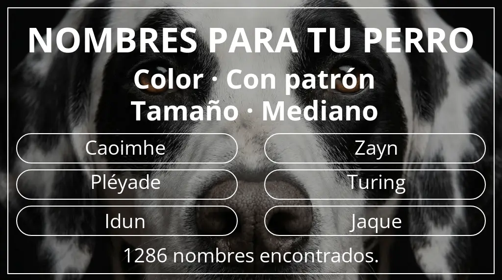 Nombres para perro inspirados en color con patrón y tamaño mediano