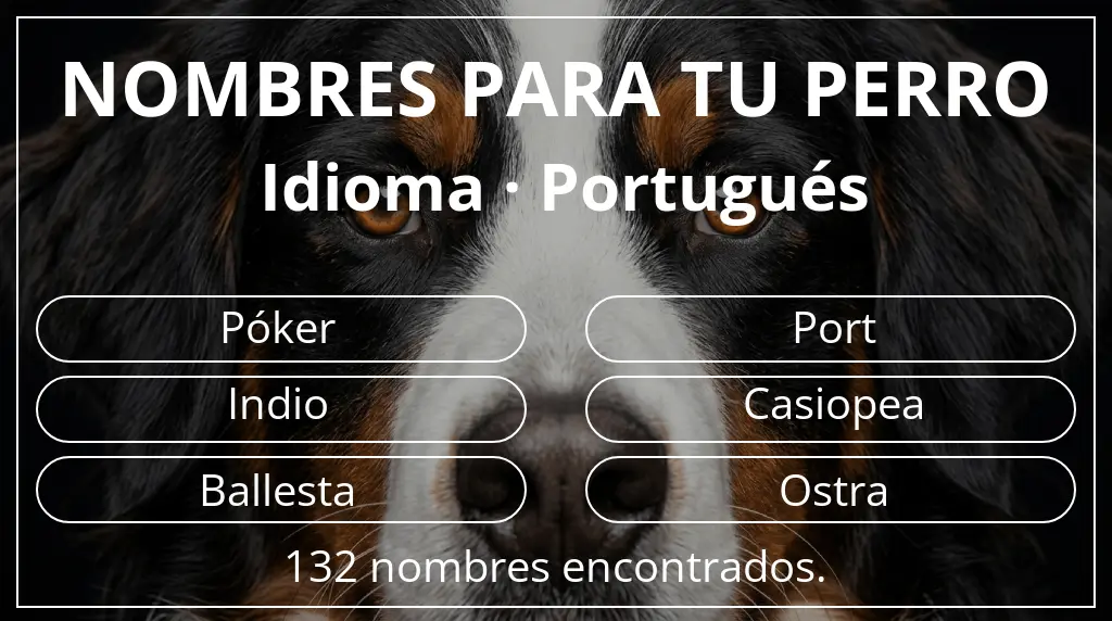 Nombres de perro inspirados en idioma portugués