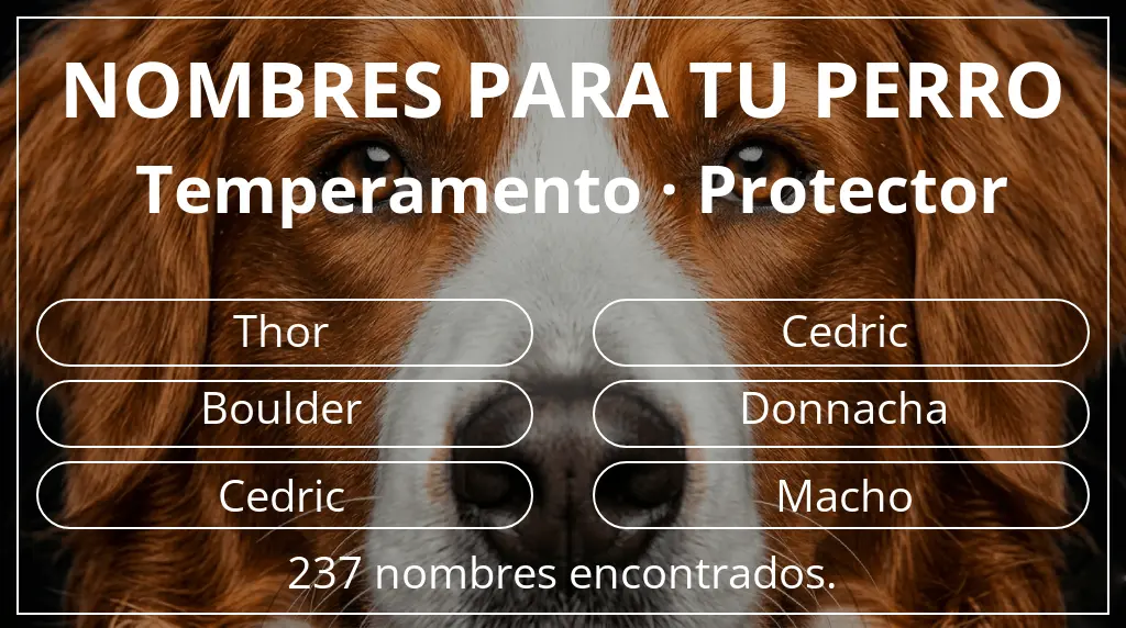 Nombres para perro basados en temperamento protector