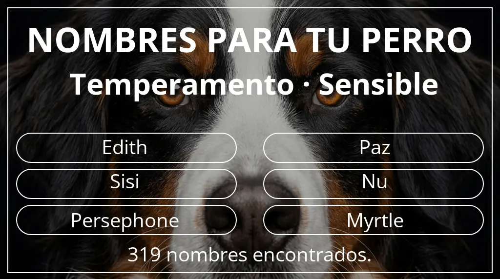 Nombres de perro inspirados en temperamento sensible
