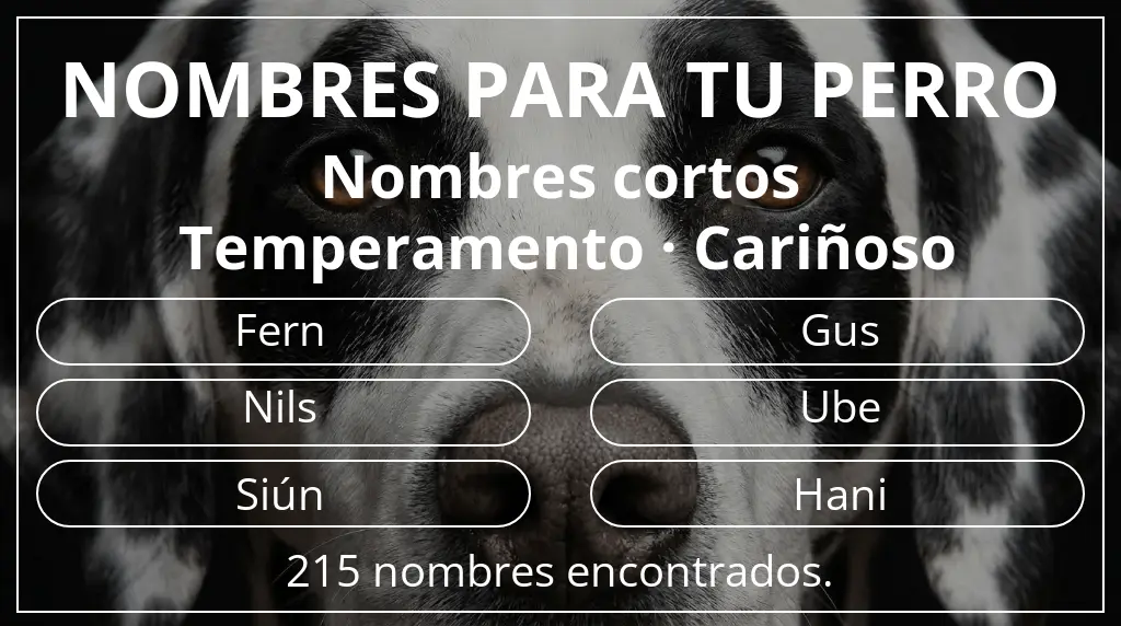Nombres para perro basados en longitud del nombre corto (2-4) y temperamento cariñoso