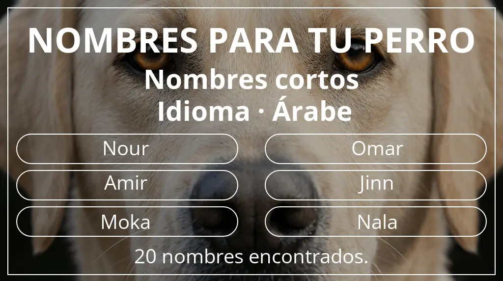Nombres de perro inspirados en longitud del nombre corto (2-4) y idioma árabe