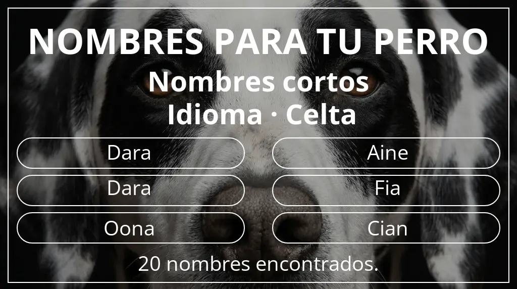 Nombres de perro inspirados en longitud del nombre corto (2-4) y idioma celta