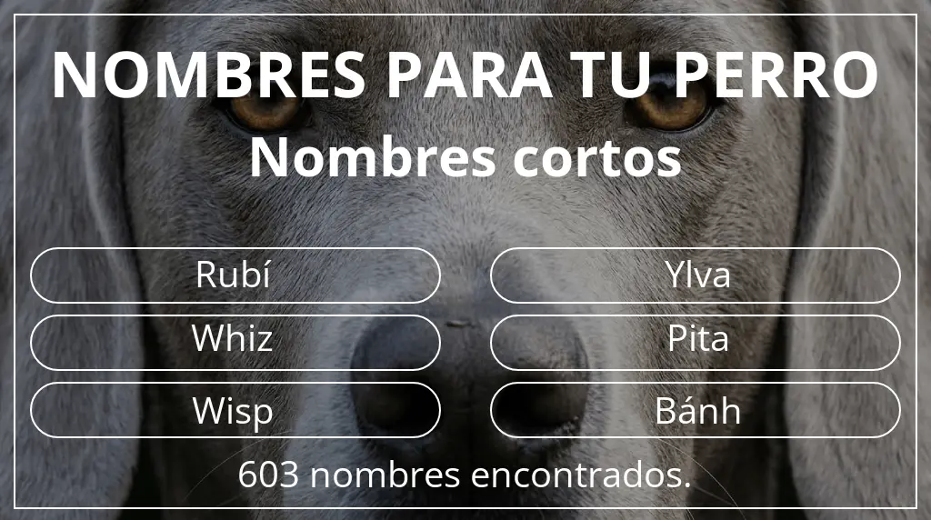 Nombres de perro inspirados en longitud del nombre corto (2-4)