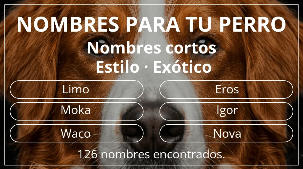 Nombres para perro inspirados en longitud del nombre corto (2-4) y estilo exótico