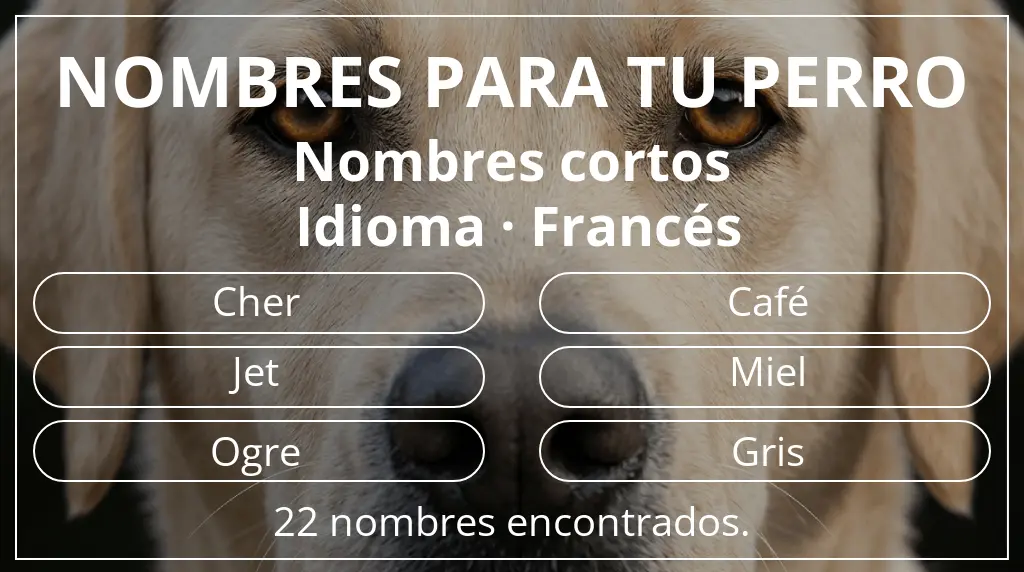 Nombres para perro basados en longitud del nombre corto (2-4) y idioma francés