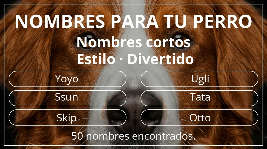 Nombres de perro inspirados en longitud del nombre corto (2-4) y estilo divertido