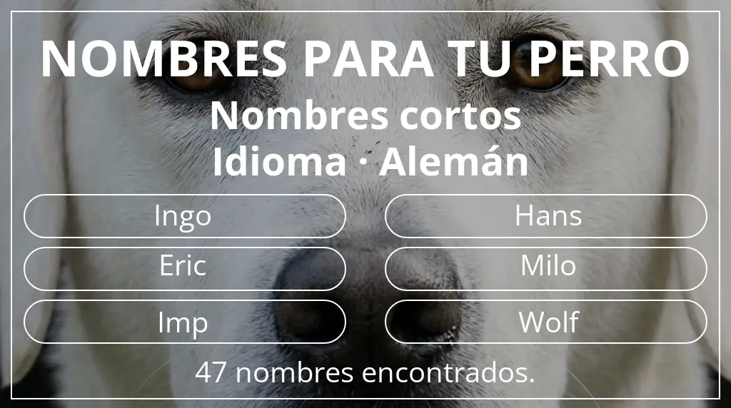 Nombres para perro basados en longitud del nombre corto (2-4) y idioma alemán
