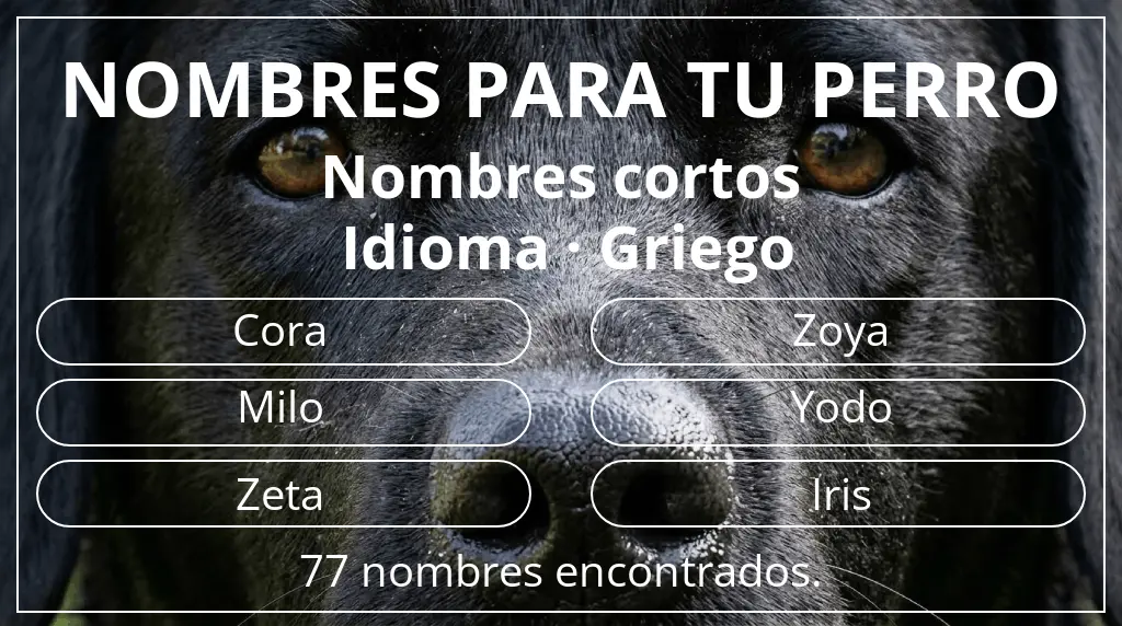 Nombres de perro inspirados en longitud del nombre corto (2-4) y idioma griego
