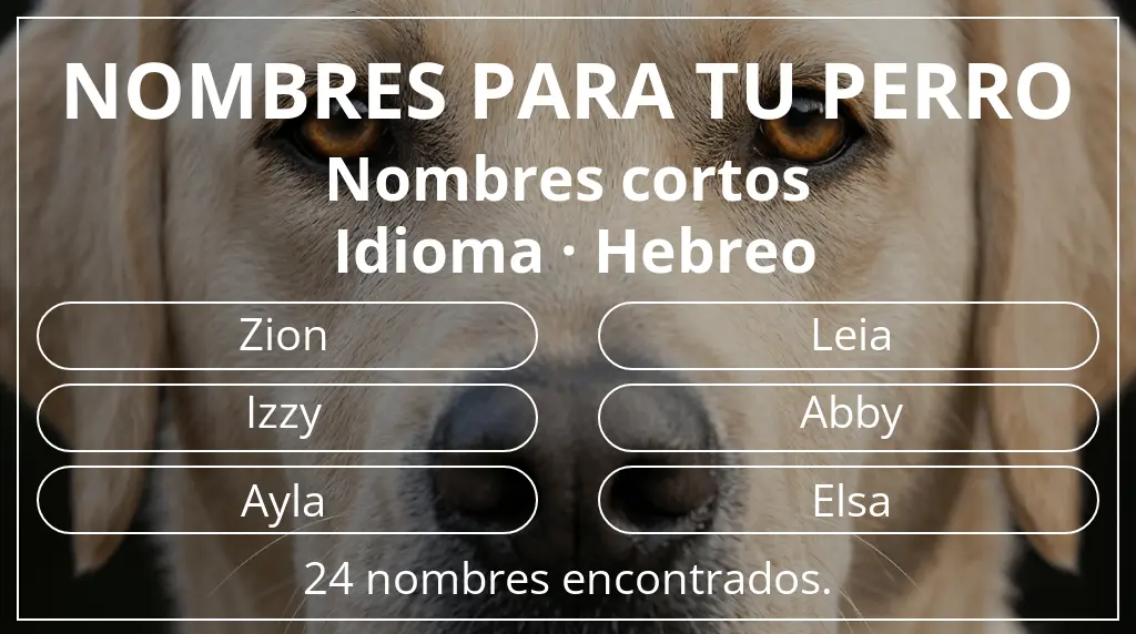 Nombres de perro basados en longitud del nombre corto (2-4) y idioma hebreo