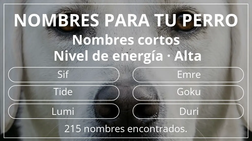 Nombres para perro inspirados en longitud del nombre corto (2-4) y nivel de energía alta