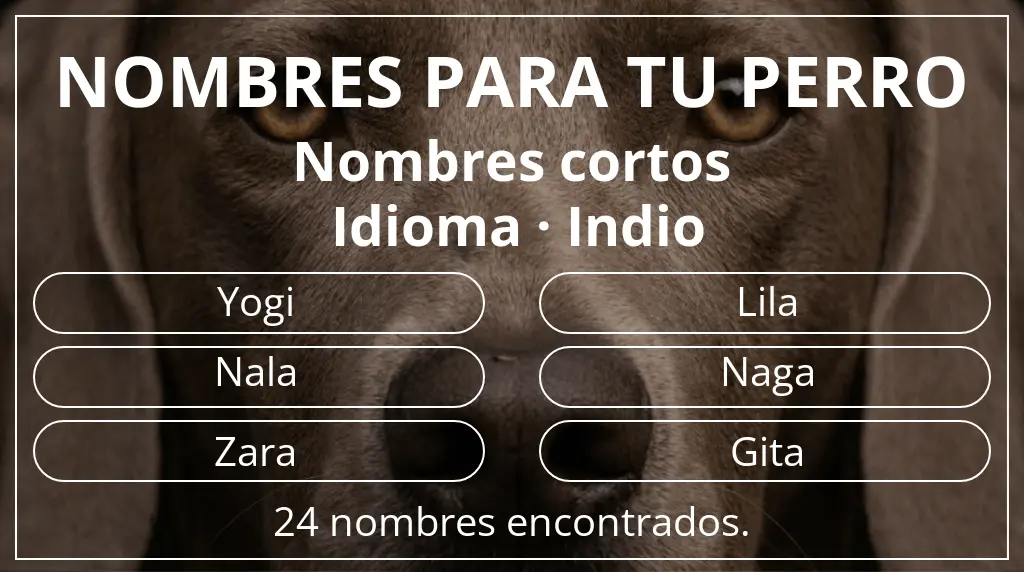 Nombres para perro inspirados en longitud del nombre corto (2-4) y idioma indio